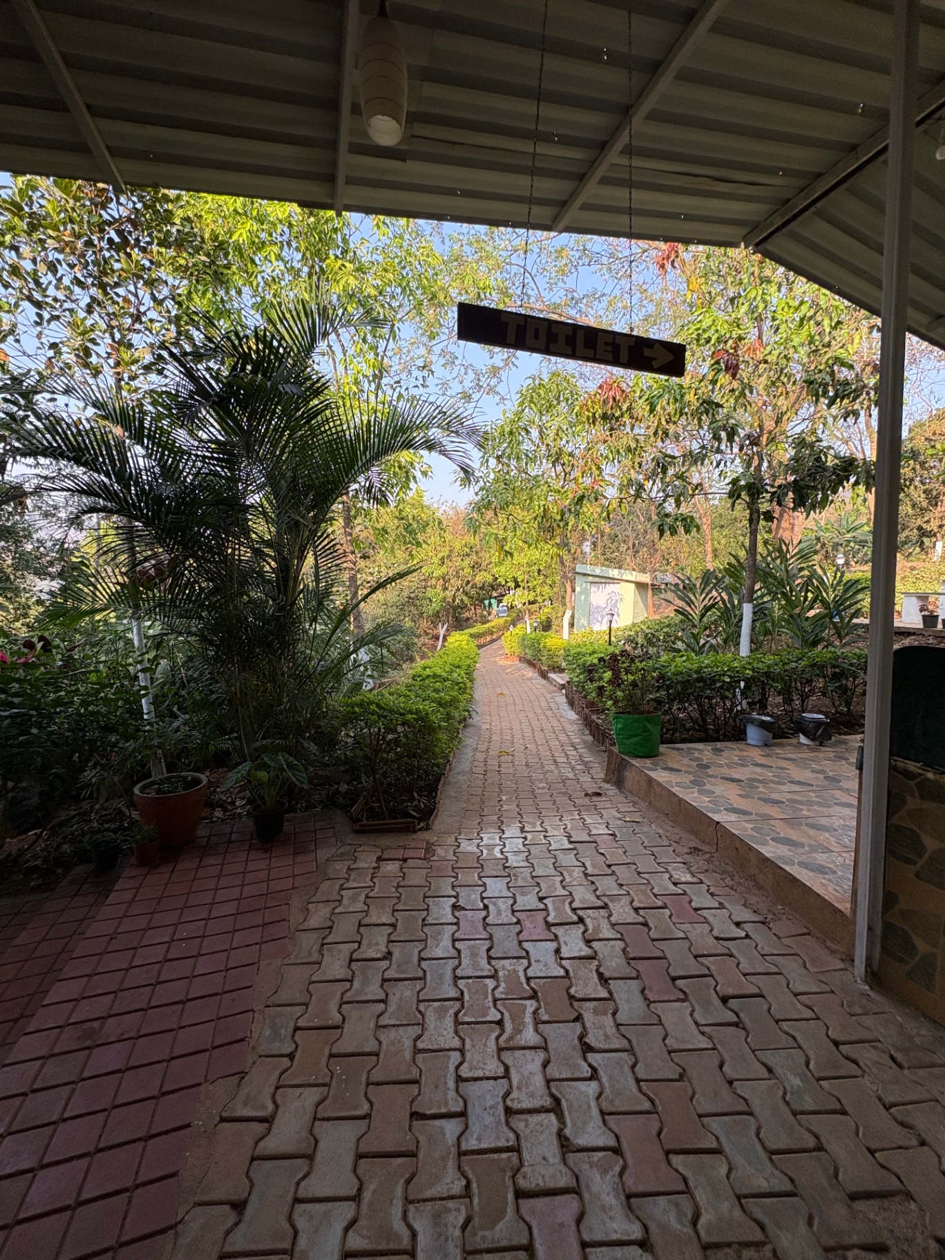 A covered walkway with tropical plants leading to the Ananda Kriya Yogashram entrance